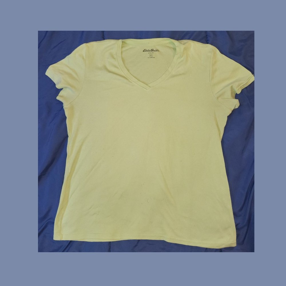 Woman's Eddie Bauer V-neck tee T-shirt sz XL pre-owned